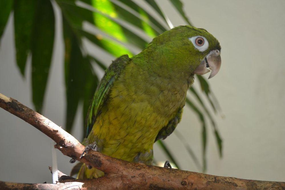 Hotel Arenal By Regina La Fortuna Dış mekan fotoğraf